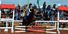 Foto de la galería: A orillas del Paraná: la equitación nacional deslumbró en el Balneario Costa Sur de Posadas