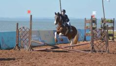 Foto de la galería: A orillas del Paraná: la equitación nacional deslumbró en el Balneario Costa Sur de Posadas