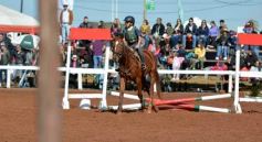 Foto de la galería: A orillas del Paraná: la equitación nacional deslumbró en el Balneario Costa Sur de Posadas