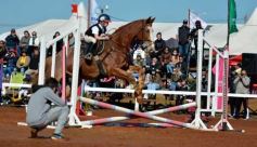 Foto de la galería: A orillas del Paraná: la equitación nacional deslumbró en el Balneario Costa Sur de Posadas