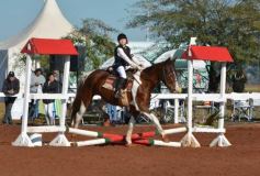 Foto de la galería: A orillas del Paraná: la equitación nacional deslumbró en el Balneario Costa Sur de Posadas
