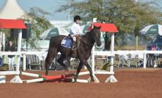 Foto de la galería: A orillas del Paraná: la equitación nacional deslumbró en el Balneario Costa Sur de Posadas
