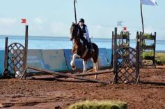 Foto de la galería: A orillas del Paraná: la equitación nacional deslumbró en el Balneario Costa Sur de Posadas