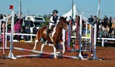 Foto de la galería: A orillas del Paraná: la equitación nacional deslumbró en el Balneario Costa Sur de Posadas