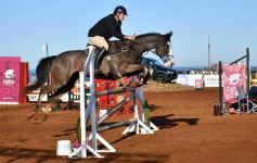 Foto de la galería: Domingo Hípico en Posadas: familias y amigos disfrutaron del exitoso cierre del Torneo de equitación