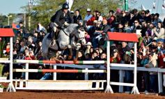 Foto de la galería: Domingo Hípico en Posadas: familias y amigos disfrutaron del exitoso cierre del Torneo de equitación