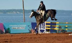Foto de la galería: Domingo Hípico en Posadas: familias y amigos disfrutaron del exitoso cierre del Torneo de equitación