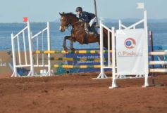 Foto de la galería: Domingo Hípico en Posadas: familias y amigos disfrutaron del exitoso cierre del Torneo de equitación
