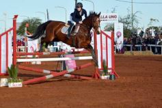 Foto de la galería: Domingo Hípico en Posadas: familias y amigos disfrutaron del exitoso cierre del Torneo de equitación