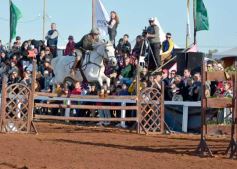 Foto de la galería: Domingo Hípico en Posadas: familias y amigos disfrutaron del exitoso cierre del Torneo de equitación