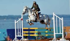 Foto de la galería: Domingo Hípico en Posadas: familias y amigos disfrutaron del exitoso cierre del Torneo de equitación