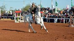 Foto de la galería: Domingo Hípico en Posadas: familias y amigos disfrutaron del exitoso cierre del Torneo de equitación