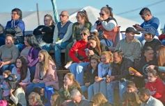 Foto de la galería: Domingo Hípico en Posadas: familias y amigos disfrutaron del exitoso cierre del Torneo de equitación