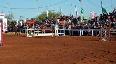 Foto de la galería: Domingo Hípico en Posadas: familias y amigos disfrutaron del exitoso cierre del Torneo de equitación