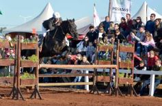 Foto de la galería: Domingo Hípico en Posadas: familias y amigos disfrutaron del exitoso cierre del Torneo de equitación