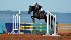 Foto de la galería: Domingo Hípico en Posadas: familias y amigos disfrutaron del exitoso cierre del Torneo de equitación