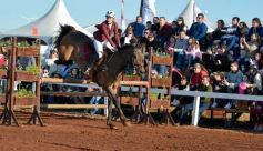 Foto de la galería: Domingo Hípico en Posadas: familias y amigos disfrutaron del exitoso cierre del Torneo de equitación