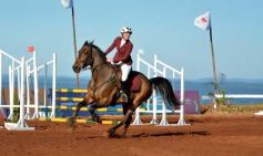 Foto de la galería: Domingo Hípico en Posadas: familias y amigos disfrutaron del exitoso cierre del Torneo de equitación