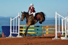 Foto de la galería: Domingo Hípico en Posadas: familias y amigos disfrutaron del exitoso cierre del Torneo de equitación