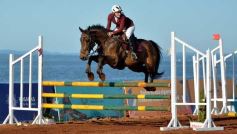 Foto de la galería: Domingo Hípico en Posadas: familias y amigos disfrutaron del exitoso cierre del Torneo de equitación