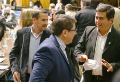 Foto de la galería: Parlamento Misionero: fomentarán la producción y consumo de miel de diferentes especies florales