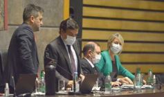 Foto de la galería: Parlamento Misionero: fomentarán la producción y consumo de miel de diferentes especies florales