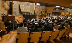 Foto de la galería: Parlamento Misionero: fomentarán la producción y consumo de miel de diferentes especies florales