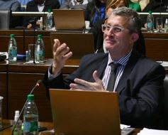 Foto de la galería: Parlamento Misionero: fomentarán la producción y consumo de miel de diferentes especies florales