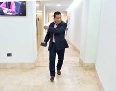 Foto de la galería: Parlamento Misionero: fomentarán la producción y consumo de miel de diferentes especies florales