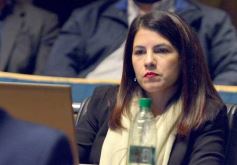 Foto de la galería: Parlamento Misionero: fomentarán la producción y consumo de miel de diferentes especies florales