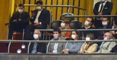 Foto de la galería: Parlamento Misionero: fomentarán la producción y consumo de miel de diferentes especies florales