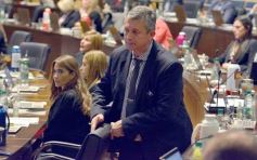 Foto de la galería: Parlamento Misionero: fomentarán la producción y consumo de miel de diferentes especies florales