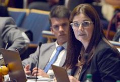 Foto de la galería: Parlamento Misionero: fomentarán la producción y consumo de miel de diferentes especies florales