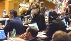 Foto de la galería: Parlamento Misionero: fomentarán la producción y consumo de miel de diferentes especies florales