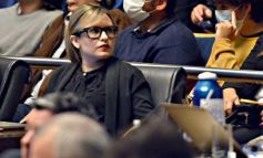 Foto de la galería: Parlamento Misionero: fomentarán la producción y consumo de miel de diferentes especies florales