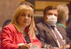 Foto de la galería: Parlamento Misionero: fomentarán la producción y consumo de miel de diferentes especies florales