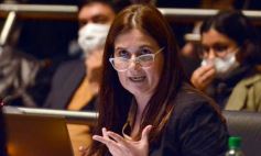 Foto de la galería: Parlamento Misionero: fomentarán la producción y consumo de miel de diferentes especies florales