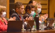 Foto de la galería: Parlamento Misionero: fomentarán la producción y consumo de miel de diferentes especies florales