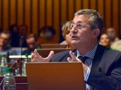 Foto de la galería: Parlamento Misionero: fomentarán la producción y consumo de miel de diferentes especies florales