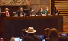 Foto de la galería: Parlamento Misionero: fomentarán la producción y consumo de miel de diferentes especies florales