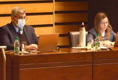 Foto de la galería: Parlamento Misionero: fomentarán la producción y consumo de miel de diferentes especies florales