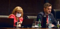 Foto de la galería: Parlamento Misionero: fomentarán la producción y consumo de miel de diferentes especies florales