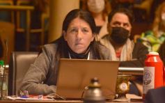 Foto de la galería: Parlamento Misionero: fomentarán la producción y consumo de miel de diferentes especies florales