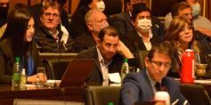 Foto de la galería: Parlamento Misionero: fomentarán la producción y consumo de miel de diferentes especies florales