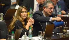 Foto de la galería: Parlamento Misionero: fomentarán la producción y consumo de miel de diferentes especies florales