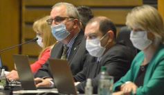 Foto de la galería: Parlamento Misionero: fomentarán la producción y consumo de miel de diferentes especies florales