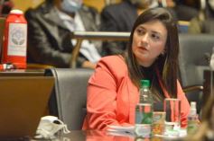 Foto de la galería: Parlamento Misionero: fomentarán la producción y consumo de miel de diferentes especies florales