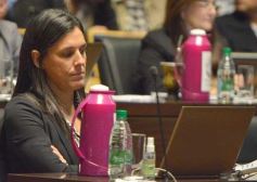 Foto de la galería: Parlamento Misionero: fomentarán la producción y consumo de miel de diferentes especies florales