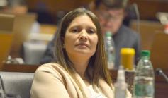 Foto de la galería: Parlamento Misionero: fomentarán la producción y consumo de miel de diferentes especies florales