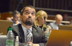 Foto de la galería: Parlamento Misionero: fomentarán la producción y consumo de miel de diferentes especies florales